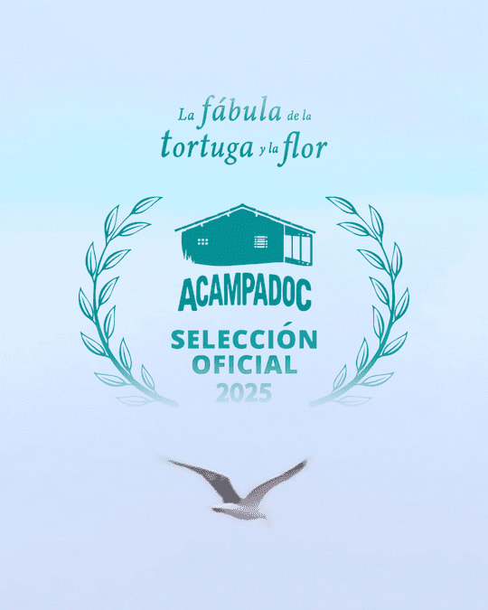 Festival ACAMPADOC
